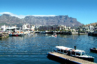 The waterfront in Cape Town is a must-see when moving to Cape Town.